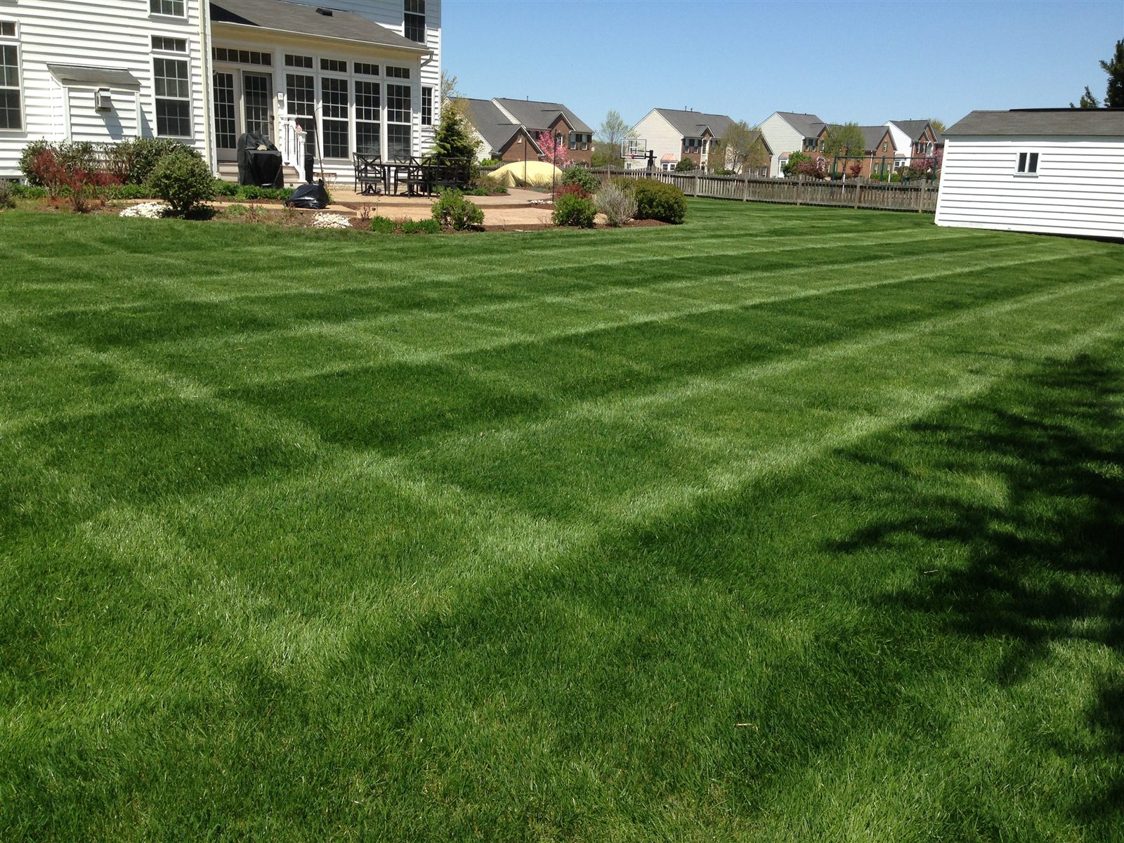 Freshly striped green lawn behind a home in Gainesville Virginia