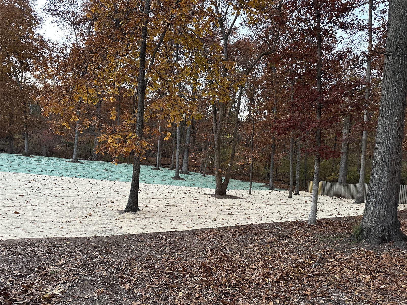Freshly hydroseeded slope with erosion matting under mature oaks